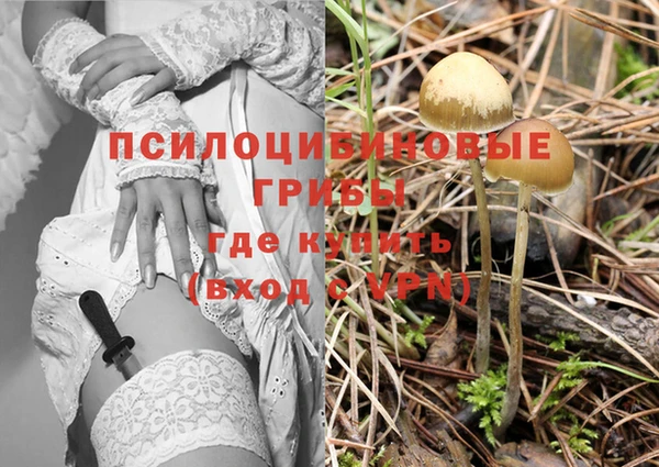 крисы Белоозёрский