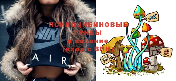 spice Белокуриха