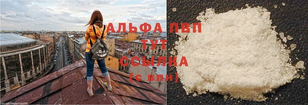 spice Белокуриха