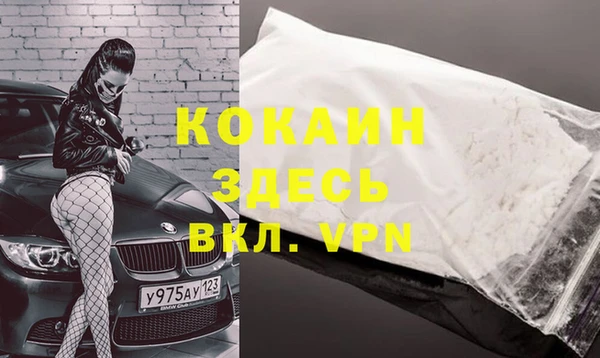 крисы Белоозёрский