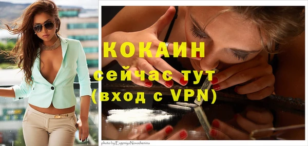 spice Белокуриха