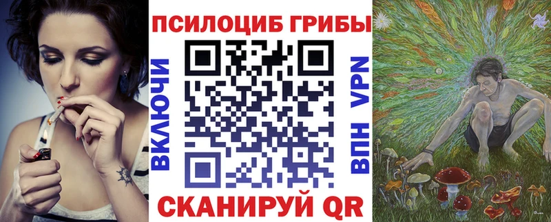 МЕГА вход  Володарск  Псилоцибиновые грибы мухоморы 